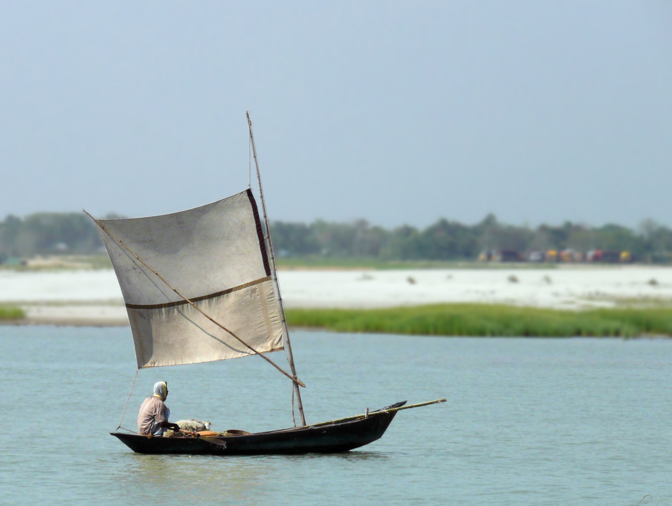 Boat_Sailing_up_Padma_River_Bangladesh