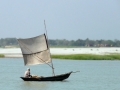 Boat_Sailing_up_Padma_River_Bangladesh